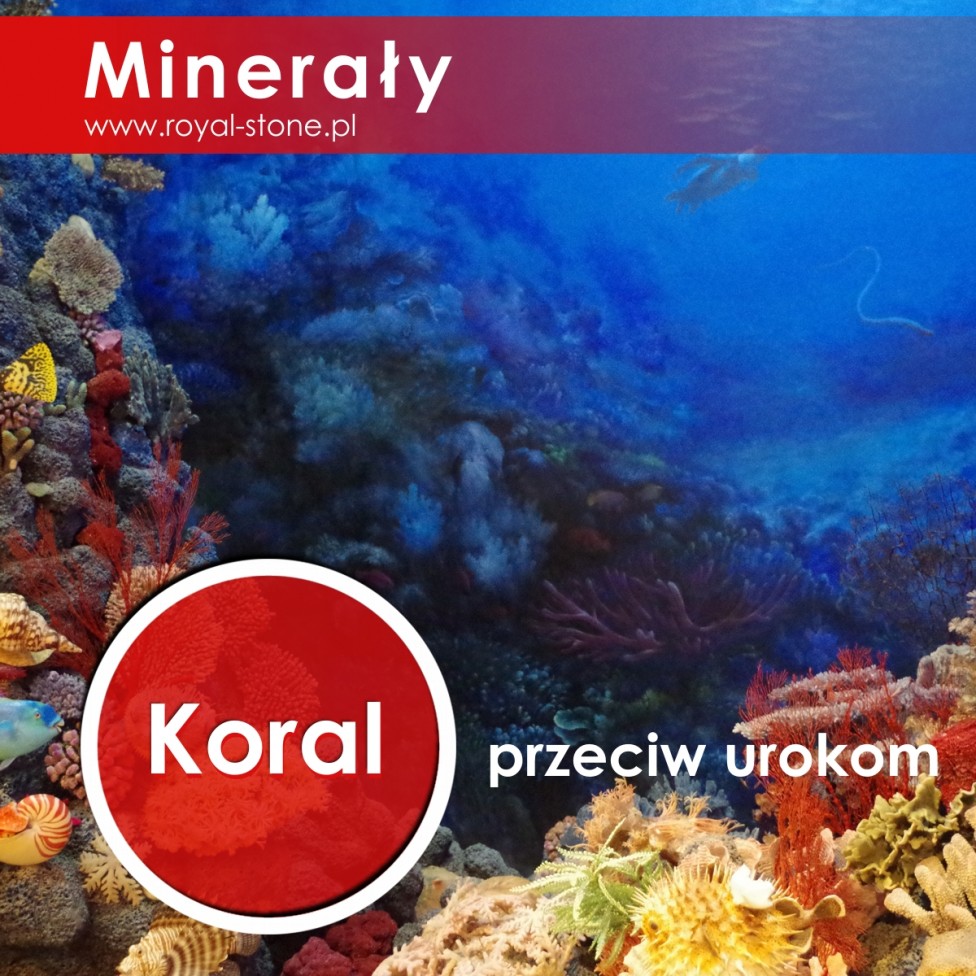 Koral_koralowiec_royal-stone_okładka2